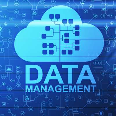 Database Management can Help Your Business