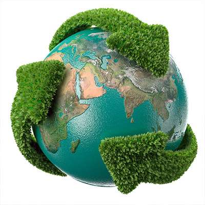 How to Reduce Your Organization's Carbon Footprint